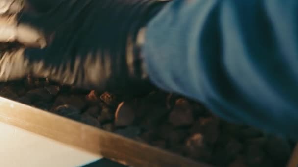 一个男人用他的手 挑出土壤颗粒 实验室的土壤研究 — 图库视频影像