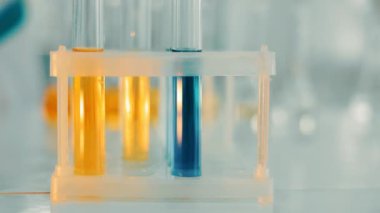 The laboratory assistant puts the test tubes in the tripod with the blue and yellow substance for further study.