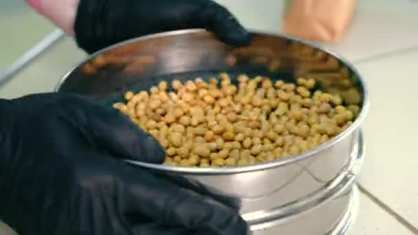 Selection Soybean Fractions Laboratory Research Filtering Soybeans Sieve — Videoclip de stoc
