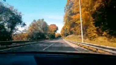 Arabanın ön camından yola doğru bir bak. Sonbahar ormanı boyunca asfalt yolda araba yolculuğu..