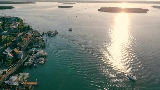Pinellas Floride Ville Infrastructure Île Voitures Maisons Long Front Mer — Video