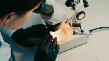 Dişi mikrobiyolog mikroskop altında bakteri arıyor. Bir araştırmacı, mikroskop kullanarak topraktaki çeşitli bakterileri inceler.