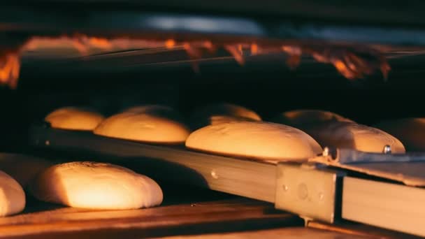 厂里有个面包师把面包放进烤箱烘烤 烤箱中面包的特写 — 图库视频影像