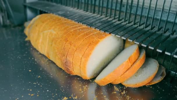 Řada Automatického Krájení Chleba Stroj Krájí Žitný Chléb Před Balením — Stock video