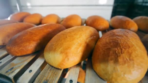 Brood Ligt Planken Bakkerij Gebakken Roggebrood — Stockvideo