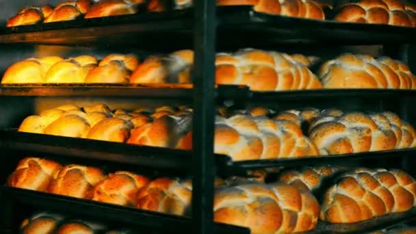 Chleb Tkany Nasionami Maku Obrotowym Piekarniku Pieczenie Chleba Piekarni Przemysłowej — Wideo stockowe