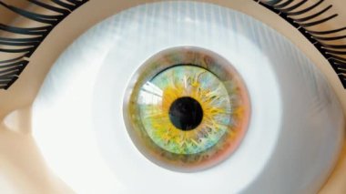 İnsan Gözünün Yapısı 'nın bir kopyası. Yakın plan. Rengi Değiştiren Retina.
