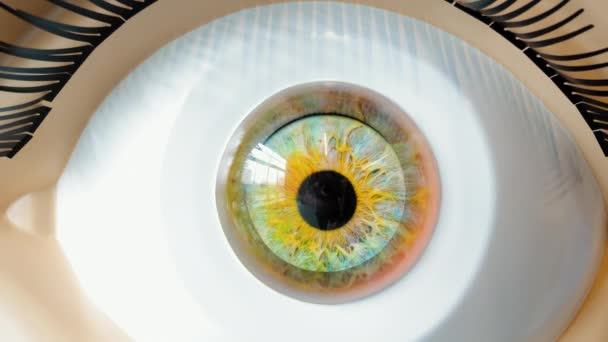 人眼特写 结构的调侃 视网膜会改变颜色 — 图库视频影像