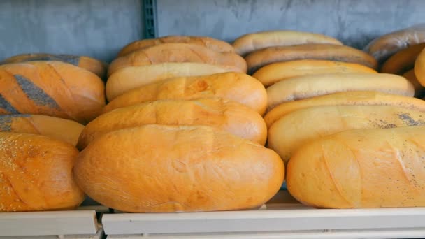 Ekmek Uzun Bir Somun Tezgahın Üzerinde Yatıyor Süpermarkette Taze Pişmiş — Stok video