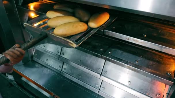 Bakker Haalt Het Brood Uit Oven Brood Bakken Bakkerij — Stockvideo