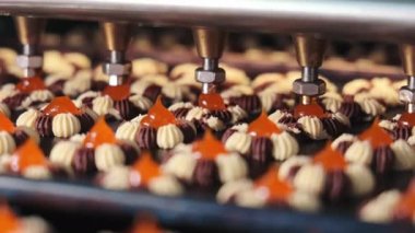 Doldurulmuş Kurabiye Üretim Hattı. Üretim Taşıyıcısı Boyunca Kurabiyelerin Hareketi