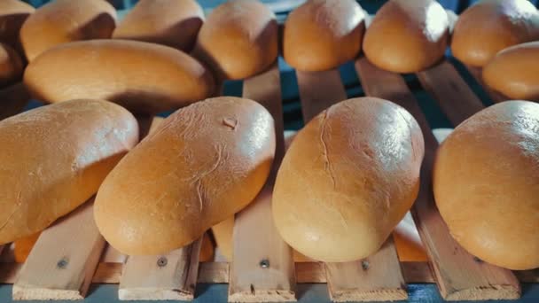 Chleb Żytni Półkach Supermarkecie — Wideo stockowe