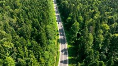 Yoğun yeşil bir ormanın ortasında, asfalt bir yolda giden siyah bir araba.