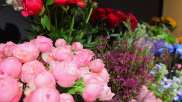 Blommor Fönstret Blomsteraffär Olika Typer Blommor — Stockvideo