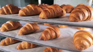 Taze pişmiş kruvasan. Lezzetli hamur işleri. Sadece fırından çıkan lezzetli kruvasanlar. Yakın plan..
