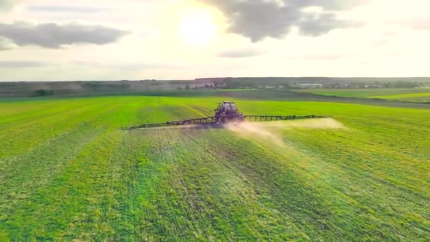Tractor Sprays Pesticides Agricultural Wheat Field Aerial Shot Tractor Spraying — Stock Video