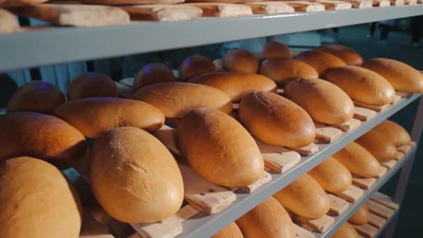 Upečení Pečený Chléb Pekárně Ochladí Žitný Chléb Policích — Stock video
