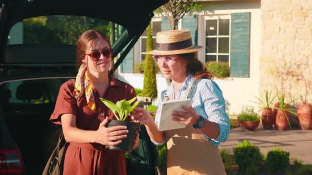 买卖双方在温室里检查一个种有幼苗的罐子 一个穿着围裙的女售货员给手里拿着石碑的买主提忠告 种植和照料植物的概念 — 图库视频影像