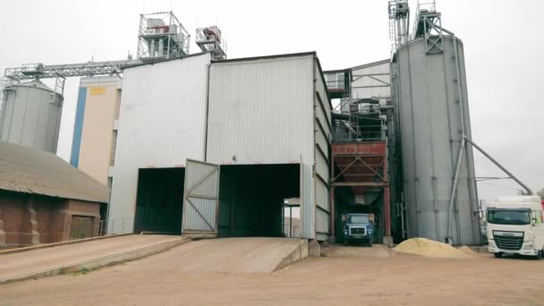 Silagelift Voor Graanopslag Grootschalige Landbouw Vrachtwagens Wachten Graan Laden — Stockvideo