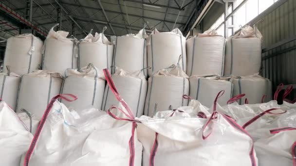Depo Tahıl Depolamak Için Beyaz Torbalar Depoda Mısır Soya Fasulyesi — Stok video