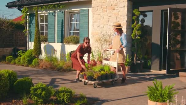 Женщина Флористка Покупает Цветы Цветочный Магазин Продающий Растения Травы Ландшафтного — стоковое видео