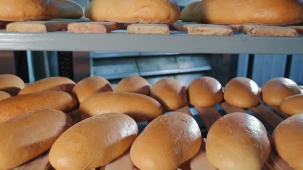 烤面包在木架上冷却 在烘焙厂的货架上躺着一批批新烘焙的脆面包 准备在商店柜台上运输 工业用面包生产 — 图库视频影像