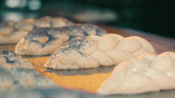 Çiğ Örülmüş Çörekler Çarşafın Üzerinde Yatıyor Fırında Pişirmeden Önce Haşhaş — Stok video