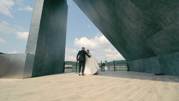 婚礼期间新郎和新娘的第一支舞 恋爱中的情侣们在美丽的复合湖畔表演浪漫的舞步来庆祝节日 新家享受快乐时光 — 图库视频影像