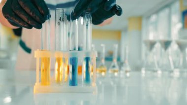 Modern Laboratuar Odası 'nda toprak araştırması yapan bir laboratuvar uzmanı. Siyah lastik eldivenli kadın ellerini kapat. Sarı ve mavi sıvılarla test tüplerini özel tutucuya yerleştir..