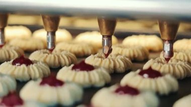 Şekerleme fabrikasındaki yeni pişmiş kurabiyelere böğürtlen reçeli ekleme süreci. Bisküvilerin reçelle doldurulup taşıma bandıyla nakledildiği yakın çekim. Otomatik Teknoloji Malzemeleri Konsepti.