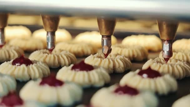 Διαδικασία Προσθήκης Μαρμελάδας Μπέρι Φρεσκοψημένα Μπισκότα Στο Εργοστάσιο Ζαχαροπλαστικής Κοντινό — Αρχείο Βίντεο