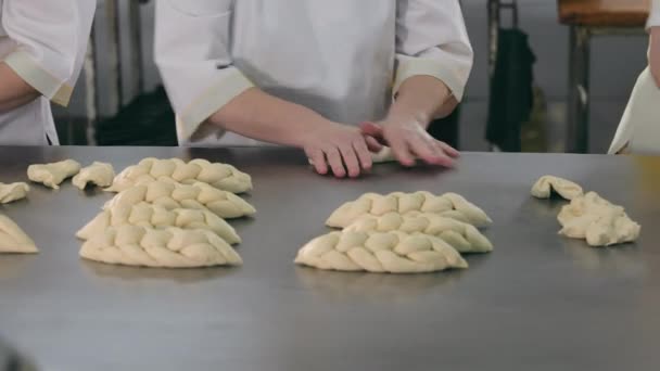 Several Experienced Chiefs Making Braided Bread Bakery Female Hands Rolling — Stock Video