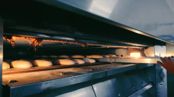 面包店工人把生面包放进烤箱 男性手套手的特写 用长盘盛水 面包的工业制造 — 图库视频影像