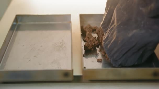 实验室科学家在两个容器上放置土壤 带基材样品的橡胶手套摇动纺织品袋中的男性技师 实验分析概念 — 图库视频影像