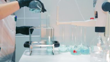 Laboratuvarda Toprak Kimyasal Deneyleri 'ni yürüten bir araştırmacı. Laboratuvar çalışanlarının yakın plan çekimleri Siyah lastik eldivenli beyaz plastik konteynır ve siyah maddeyi sallıyor.