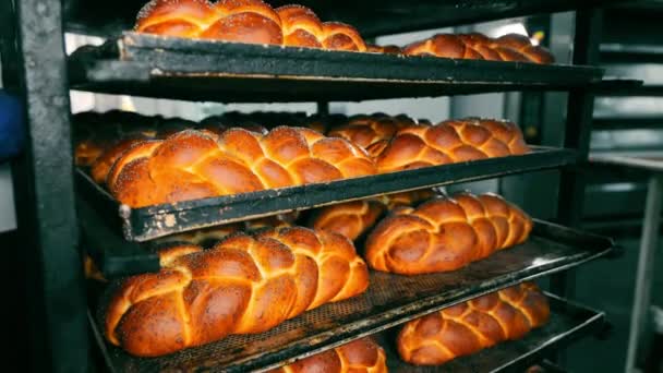 Nybakat Flätat Bröd Bageriprodukter Som Bakas Bageriet Kyls Ned Trähyllor — Stockvideo