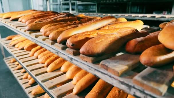 Pain Long Fraîchement Cuit Sur Les Étagères Les Produits Boulangerie — Video