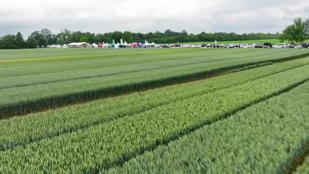 Versuchsparzellen Für Weizen Ackerland Mit Verschiedenen Weizensorten — Stockvideo