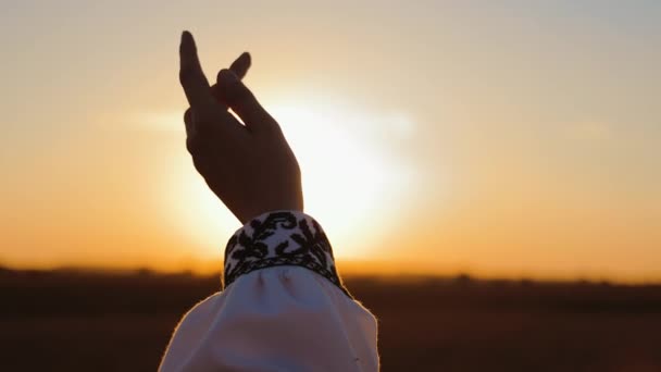 一个女人的手碰到了太阳光 那女孩把手伸向太阳 日落时的幸福概念 — 图库视频影像