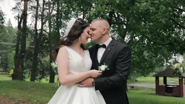 結婚式の日に若いカップルが公園で抱き合っている 幸せな新婚夫婦はお互いの優しさと触れ合いを楽しむ — ストック動画