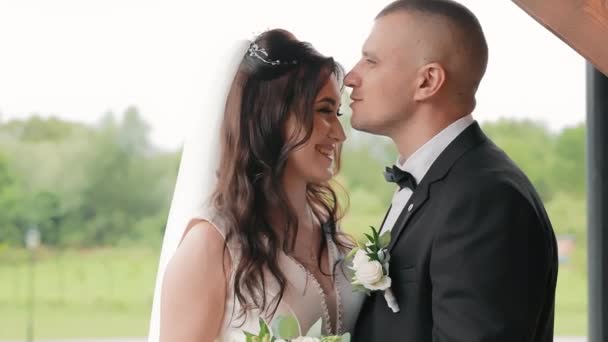 Der Bräutigam Küsst Die Braut Nahaufnahme Auf Die Stirn Glückliche — Stockvideo