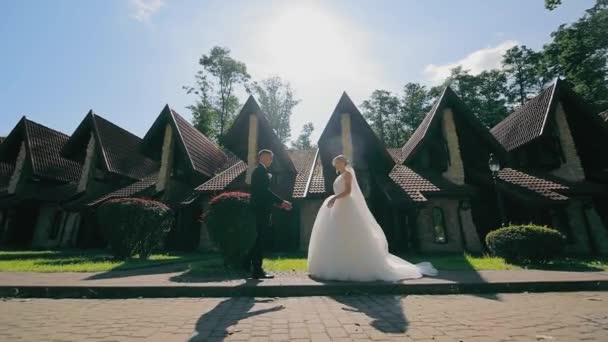 花嫁と花嫁は互いに近づき 手を握り 頭を傾け合った 太陽の光が彼らの間に輝いている ウェディングウォーク — ストック動画