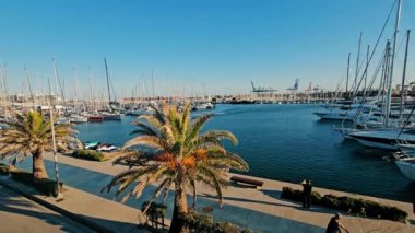 Yatı olan liman, gemi rıhtımı. Yat limanının rıhtımlarına park etmiş yatlar. Teknelerin, gemilerin, yatların park alanının manzarası. Mavi bir gökyüzünün arka planındaki palmiye ağacının içinden.