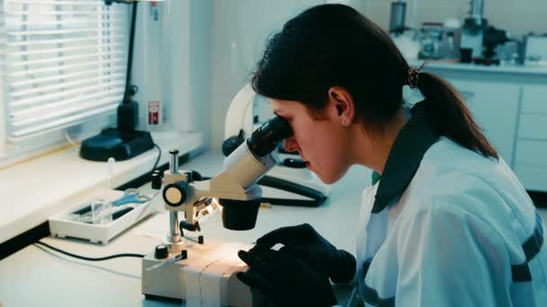 Asystentka Laboratoryjna Bada Mikroskop Laboratorium Laboratorium Nowoczesnych Badań Medycznych — Wideo stockowe