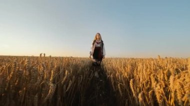 Ukrayna uyruklu bir kız olgun bir buğday tarlasında yürür ve kameraya poz verir. Tarım kavramı. Olgun altın buğday başakları