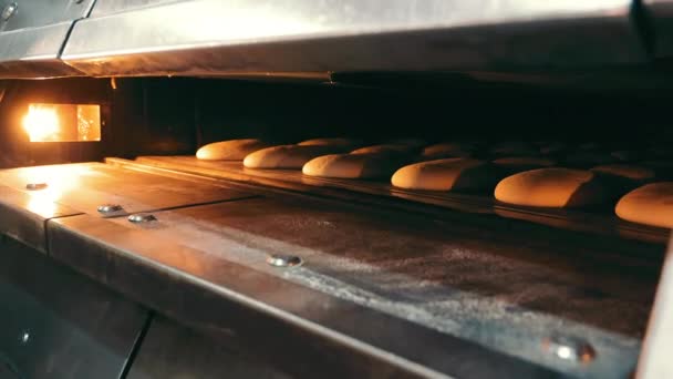 Печь Хлеб Пекарне Крупным Планом Духовке Концепция Производства Хлеба Хлебобулочных — стоковое видео
