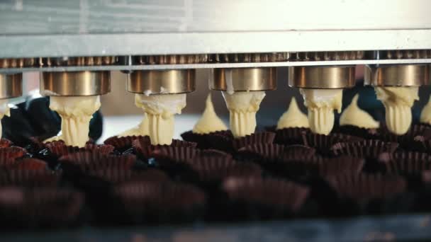生地が付いているカップケーキ型の自動充填 クッキー グッズ カップケーキを作るというコンセプト クローズアップ — ストック動画