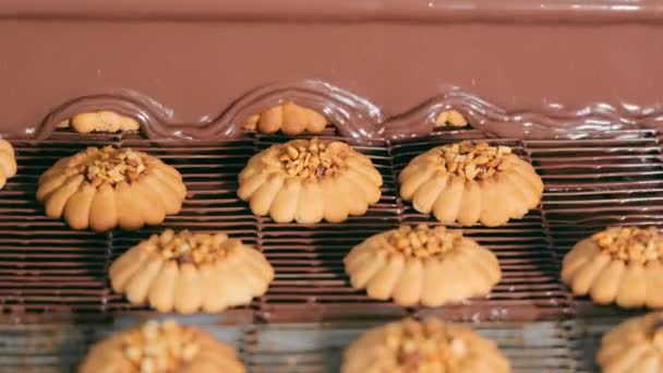 Der Bäckerei Werden Kekse Automatisch Mit Vollmilchschokolade Überzogen Das Konzept — Stockvideo