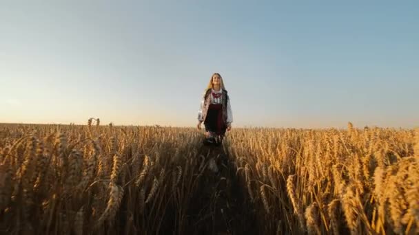 Девушка Украинском Национальном Платье Идет Спелому Пшеничному Полю Позирует Перед — стоковое видео