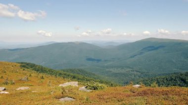Güneşli bir yaz gününde yeşil ağaçlar ve çalılarla kaplı güzel dağ manzarası. Dağlarda yürüyüş..